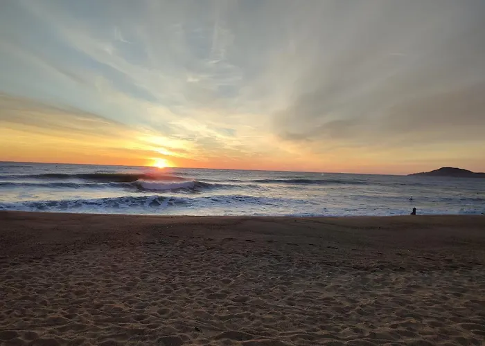 Le Petit Castor * Argelès-sur-Mer