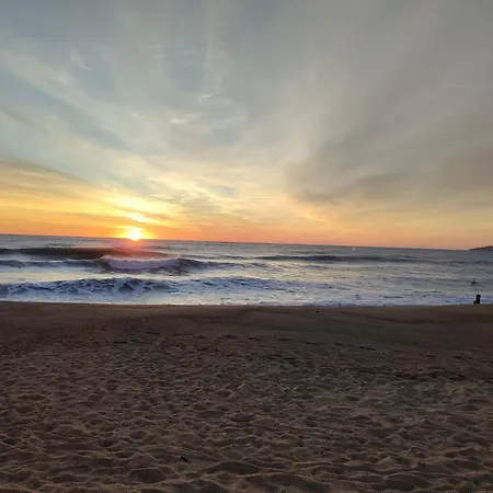 Le Petit Castor * Argelès-sur-Mer