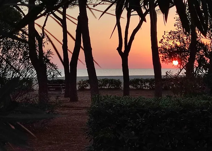 Dom wakacyjny Le Petit Castor *