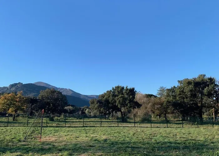 Dom wakacyjny Le Petit Castor Argelès-sur-Mer